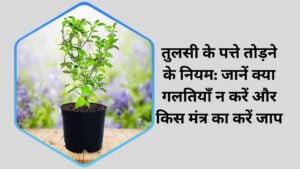 तुलसी के पत्ते तोड़ने के नियम और मंत्र