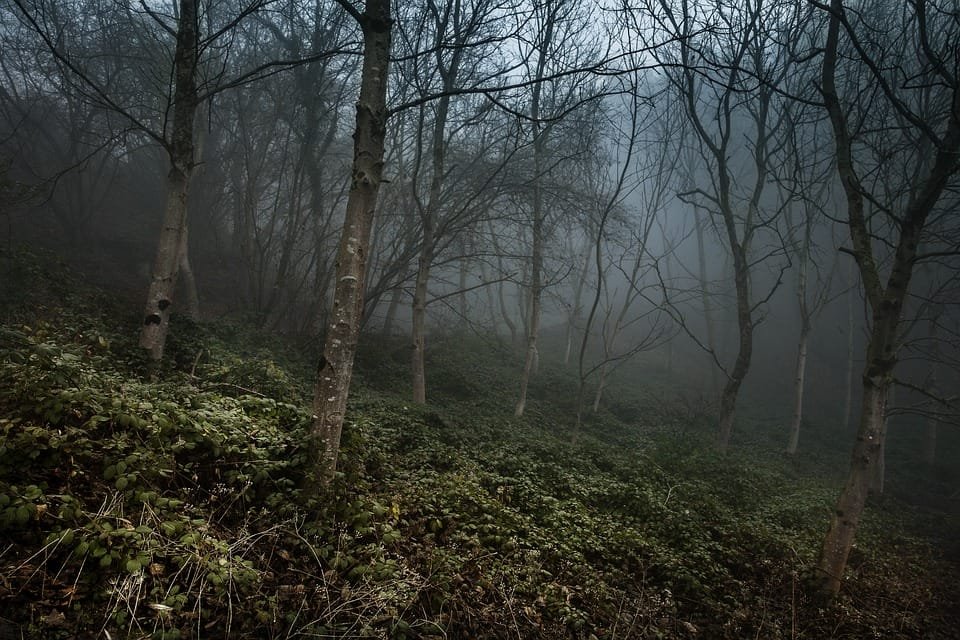 foggy 4660940 960 720