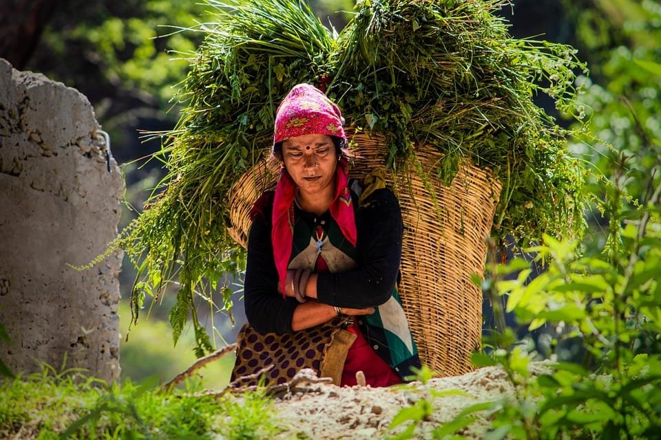 woman 7155110 960 720