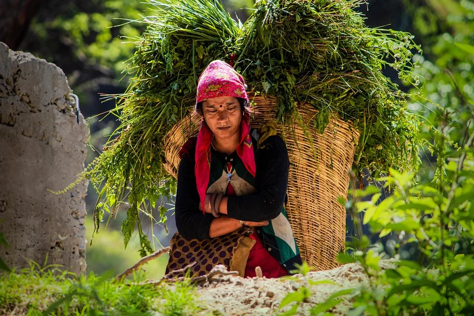 woman 7155110 960 720