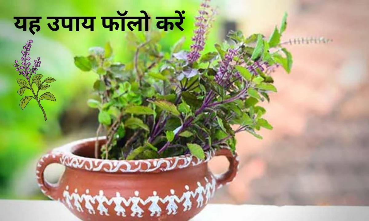 If you are troubled by household problems, then follow this solution, an important tip