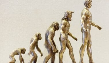 evolution 4107273 960 720