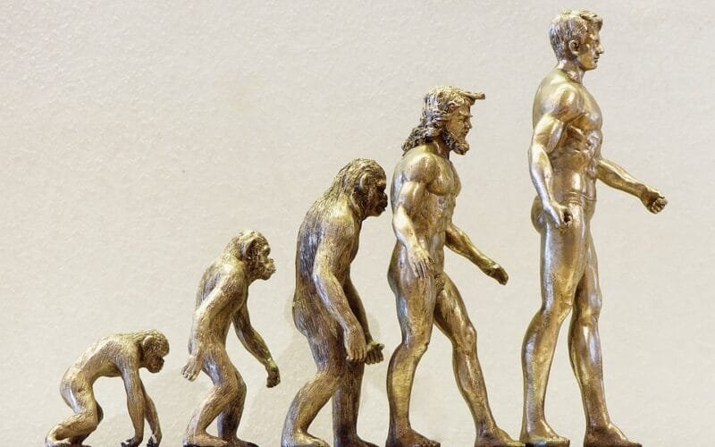 evolution 4107273 960 720