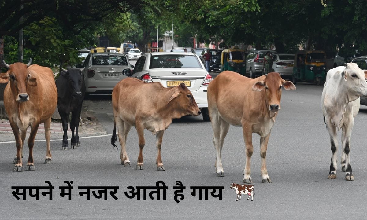 If you see a cow in your dream, it could be a good sign