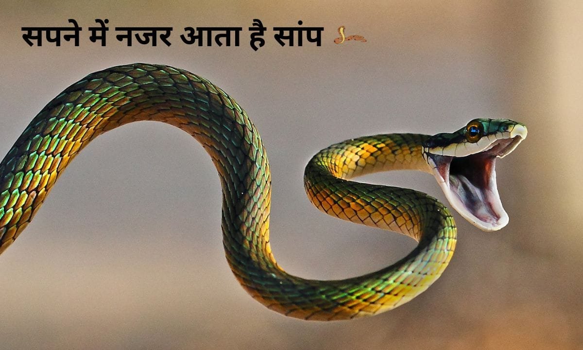 If you see a snake in your dream, then see its meaning