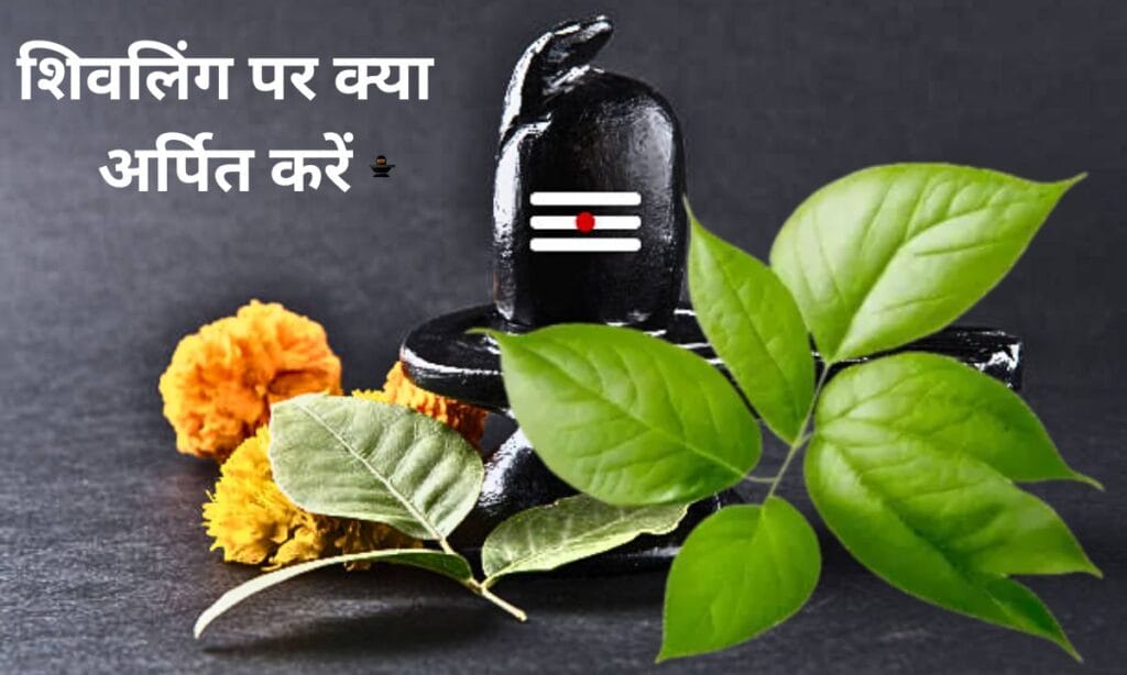 अपरा एकादशी पर, शिवलिंग पर क्या अर्पित करें