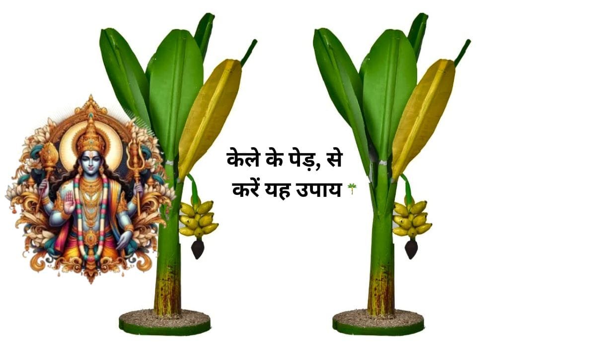 Do this remedy with banana tree on Thursday