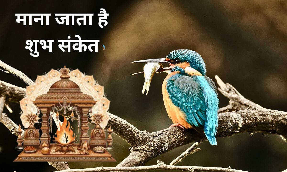 Seeing these things in life is considered an auspicious sign