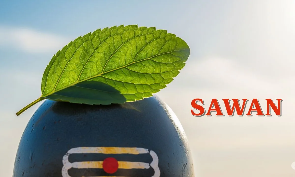 Avoid offering Tulsi leaves and Ketaki flowers on Shivling in the month of Saavan