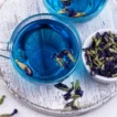blue tea butterfly pea or anchan 2024 10 18 04 07 59 utc