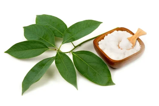 shutterstock 1709873413