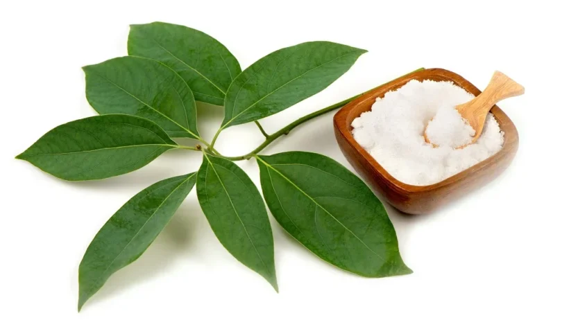 shutterstock 1709873413