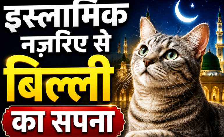 सपने में बिल्ली देखना, बिल्ली का काटना, सफेद बिल्ली या बिल्ली को खाना खिलाना—जानिए इस्लामिक नज़रिये से इसकी सही ताबीर और इसका क्या मतलब हो सकता है।