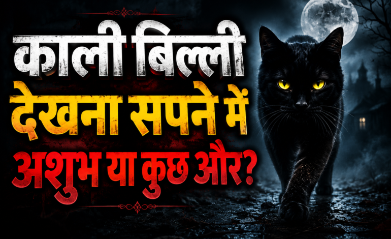 चांदनी रात में चमकती आंखों वाली काली बिल्ली, डरावना माहौल और बड़े हिंदी टेक्स्ट के साथ सपना और अशुभ संकेत दर्शाता हुआ ।