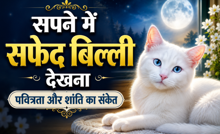 सफेद बिल्ली चांदनी रात में शांत मुद्रा में बैठी है, बड़े हिंदी शीर्षक के साथ पवित्रता, शांति और शुभ संकेत दर्शाता हुआ आकर्षक थंबनेल।