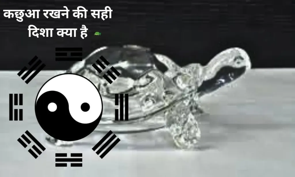 फेंगशुई के हिसाब से, कछुआ रखने की सही दिशा क्या है