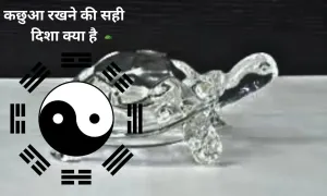 फेंगशुई के हिसाब से, कछुआ रखने की सही दिशा क्या है