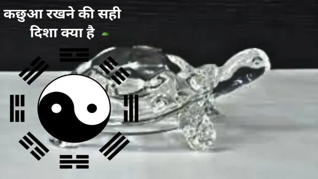 फेंगशुई के हिसाब से, कछुआ रखने की सही दिशा क्या है