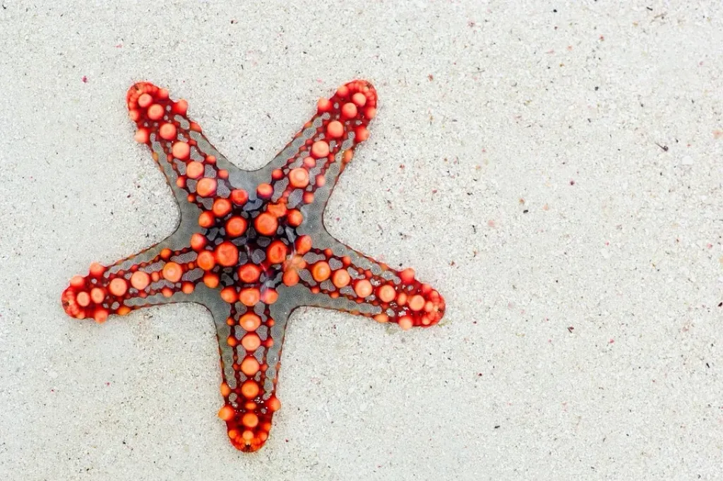 Are the Stars Aligning for Your Kundalini Awakening?