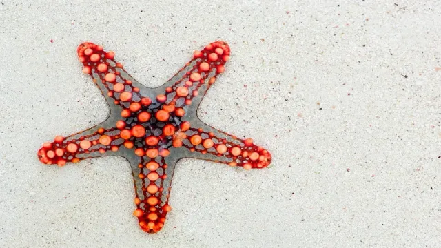 Are the Stars Aligning for Your Kundalini Awakening?