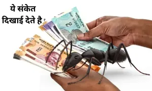 घर में लक्ष्मी जी के आने से पहले, ये संकेत दिखाई देते है
