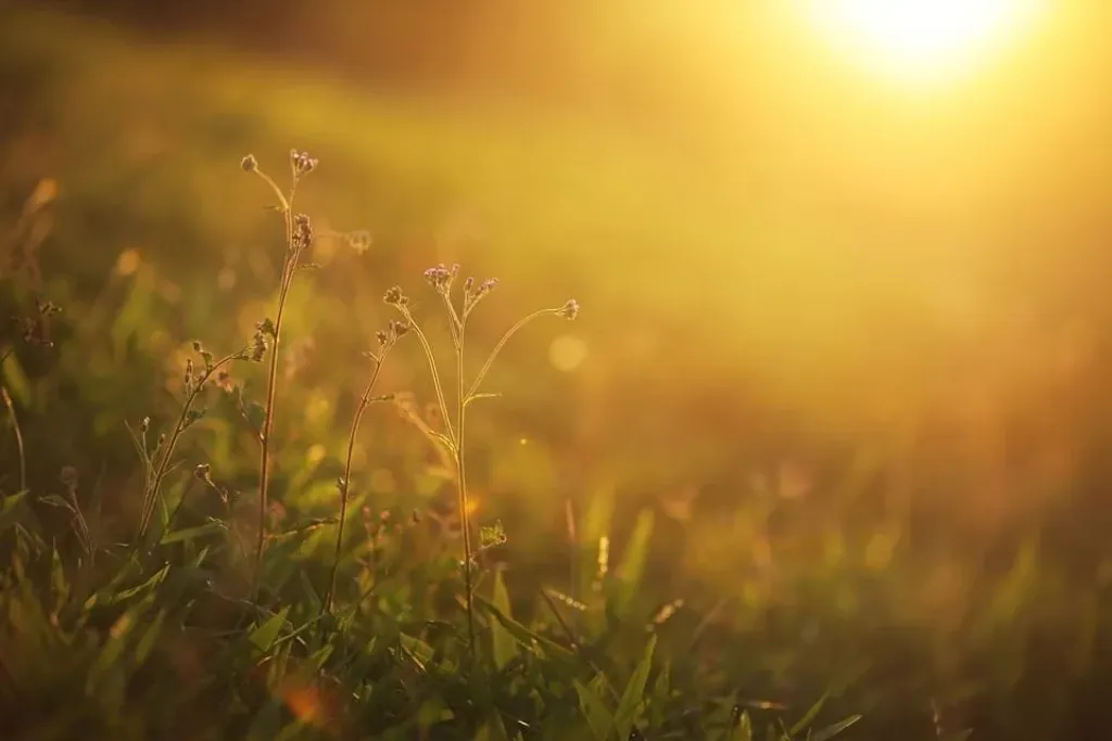 Beyond Your Sun Sign: Unlocking the Secrets of Your Moon Sign.
