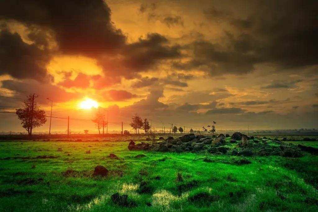 Boost Your Career with Astrology: Find Your Best Professional Path