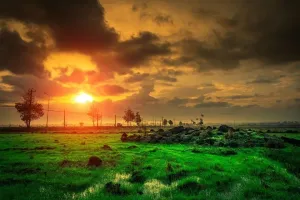 Boost Your Career with Astrology: Find Your Best Professional Path