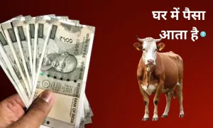 कौन-कौन से उपाय करने से, घर में पैसा आता है