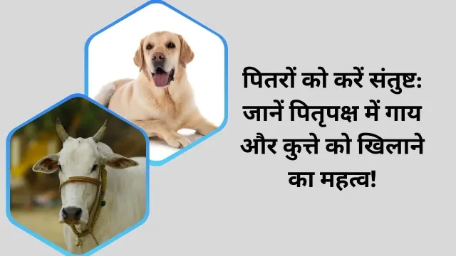 पितृपक्ष में गाय और कुत्ते को खाना खिलाने का महत्व: जानें क्यों है ज़रूरी