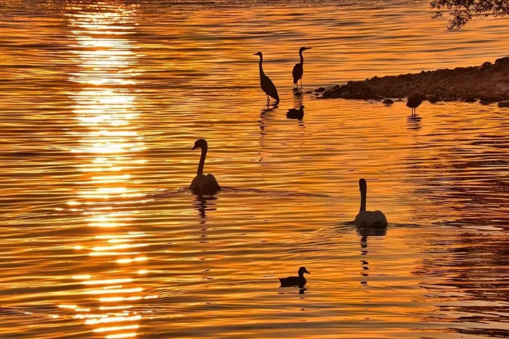 Decoding Sun Sign Compatibility: A Guide to Zodiac Relationships