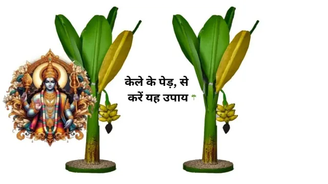 गुरुवार के दिन केले के पेड़, से करें यह उपाय