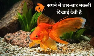 क्या आपको भी सपने में बार-बार मछली दिखाई देती है, जानिए इसका अर्थ