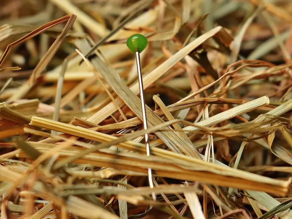 Find Your Answers in the Leaves: How Nadi Astrology Can Offer Guidance
