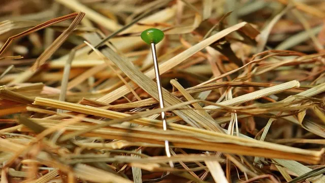 Find Your Answers in the Leaves: How Nadi Astrology Can Offer Guidance