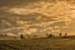 Good luck!