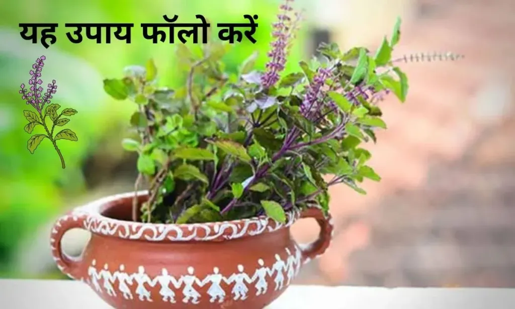 घर की परेशानियों से परेशान है तो यह उपाय फॉलो करें, एक महत्वपूर्ण टोटका