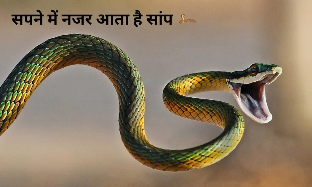 सपने में नजर आता है सांप, तो देख लीजिए इसका मतलब