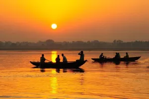 भारत का पारंपरिक अनाज: बाजरा, फिर से छाया