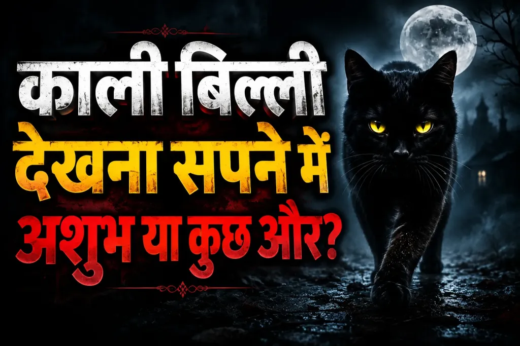 काली बिल्ली देखना सपने में – अशुभ या कुछ और?