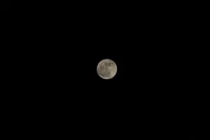 Kartik Purnima Astrology: What the Full Moon in Kartik Holds for You