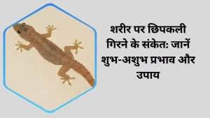 शरीर पर छिपकली गिरने के संकेत: ज्योतिषीय दृष्टिकोण