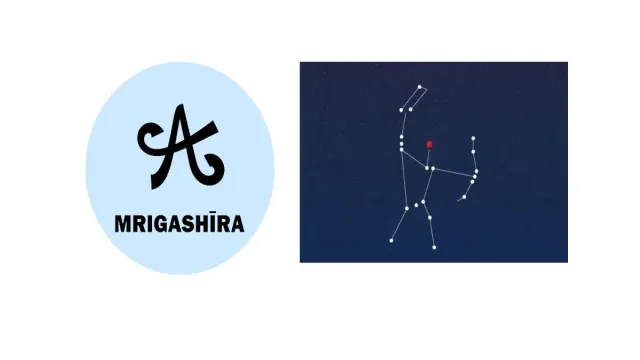 Mrigashira Nakshatra: Unveiling the Celestial Beauty