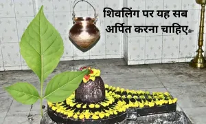 सोमवार के दिन, शिवलिंग पर यह सब अर्पित करना चाहिए