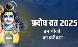 प्रदोष व्रत पर, इन चीजों का करें दान