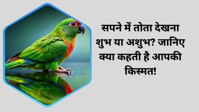 सपने में तोता देखना: आपकी किस्मत की दस्तक?