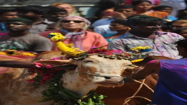 Pongal and the Stars: Decoding the Festival’s Celestial Meaning