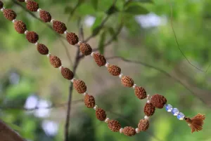 Unlock the Power of Rudraksha Beads