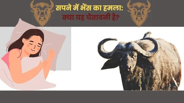 सपने में भैंस का हमला: मानसिकता, स्वास्थ्य और रिश्तों पर क्या हो सकते हैं प्रभाव?
