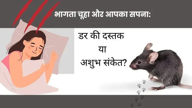 सपने में चूहा देखना: क्या यह अशुभ संकेत है या जीवन के छिपे संदेश?